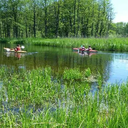 Vakantiehuis Najtansze Na Mazurach Gizycko Mikolajki Mragowo Ostroda Rezerwacje Wylacznie Telefonicznie 512-29o-43o Prosimy Nie Sugerowac Sie Dostepnoscia Domkow Na Tej Stronie Zapraszamy Www Domkiwkrutyni Com *