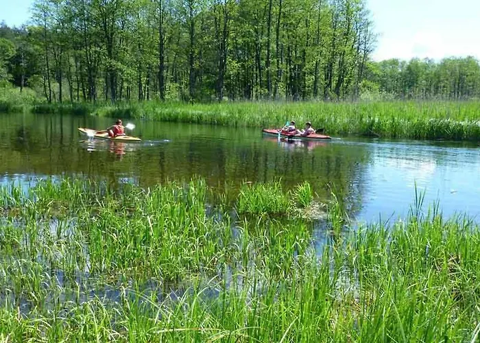 Holiday home Najtansze Na Mazurach Gizycko Mikolajki Mragowo Ostroda Rezerwacje Wylacznie Telefonicznie 512-29o-43o Prosimy Nie Sugerowac Sie Dostepnoscia Domkow Na Tej Stronie Zapraszamy Www Domkiwkrutyni Com *